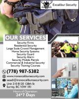 Excalibur Security Services Inc image 1